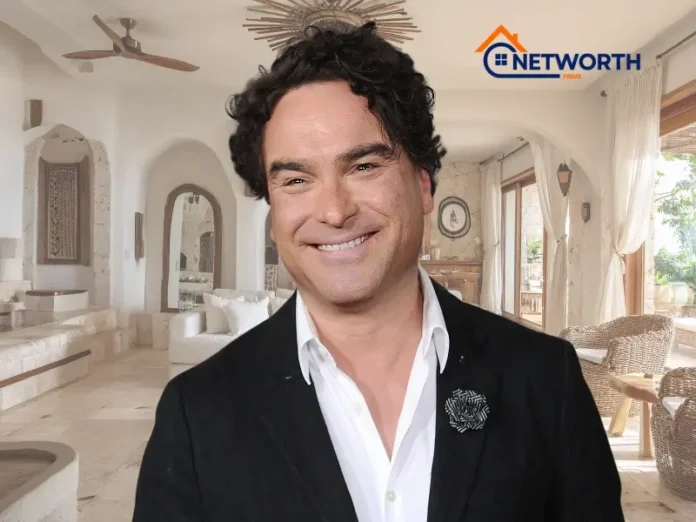 Johnny Galecki Net Worth