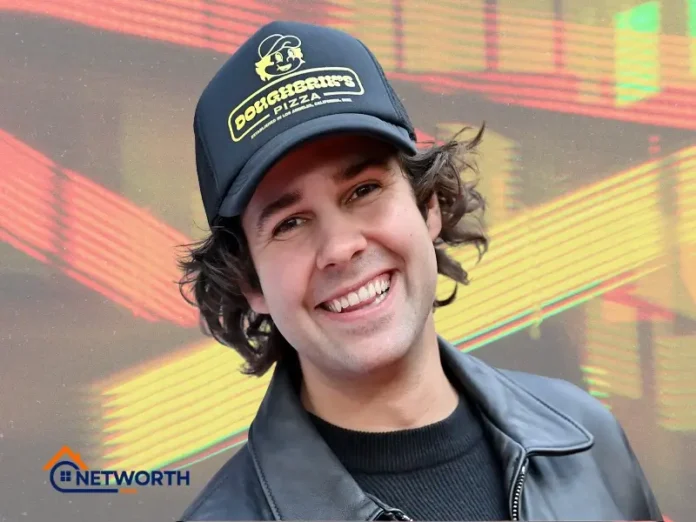 David Dobrik Net Worth
